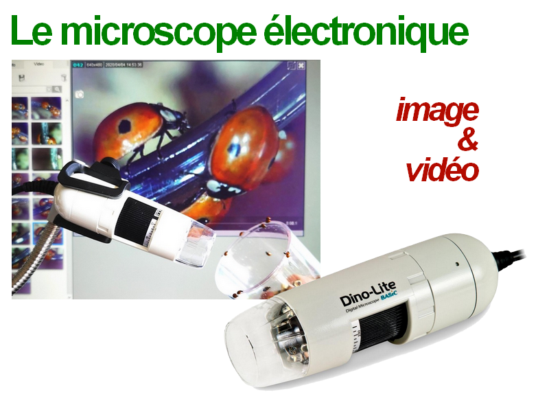 Microscope électronique pour les écoles