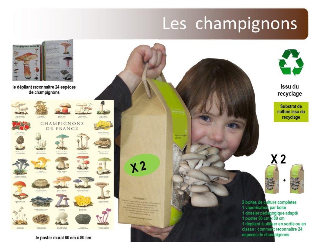 Kit champignon pour école Carré Jardin